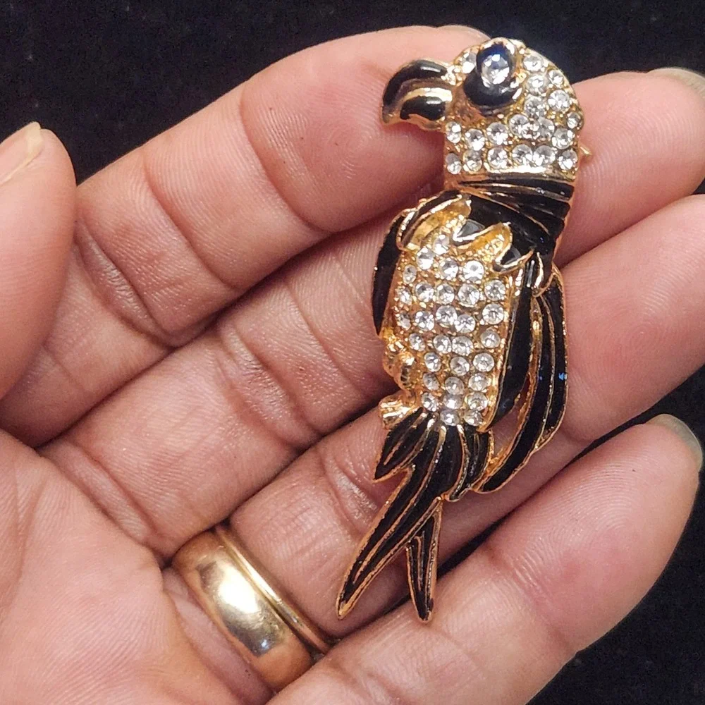 N/A charming parrot